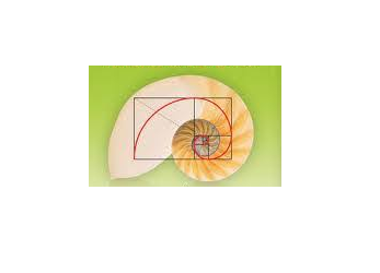 Matemáticas para disfrutar. Antonio Pérez Sanz